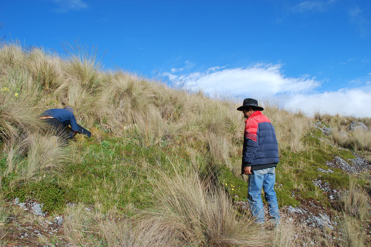Trabajo de campo y registro en Llañucancha, Apurímac